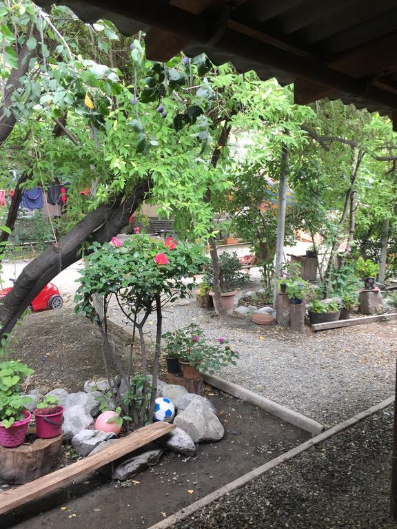 Guest House Gzirishvili Kvareli Εξωτερικό φωτογραφία